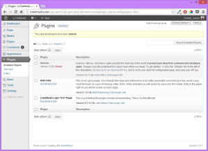 Plug-In Page